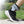 Recovery Ankle Brace